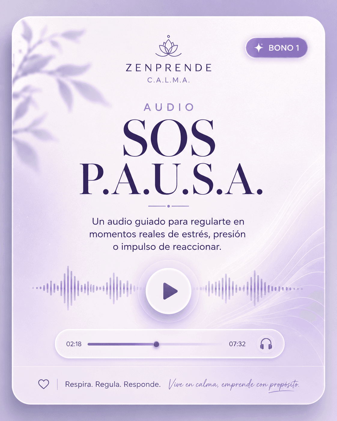 Audio SOS P.A.U.S.A.